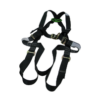 Full Body Safety Harness with Front and Rear D-Rings