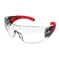 EVOLVE Safety Glasses with Anti-Fog Clear Lens