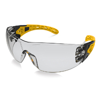 EVOLVE Safety Glasses with Anti-Fog Silver Mirror Lens