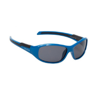 Ugly Fish PK366 Blue Frame Smoke Lens Fashion Sunglasses