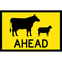 Symbolic Stock Picto Ahead Traffic Safety Sign Boxed Edge 900x600mm